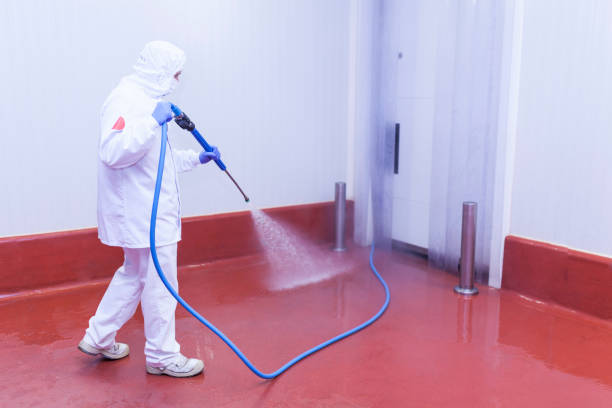 Orleans, VT Pressure Washing Services Company